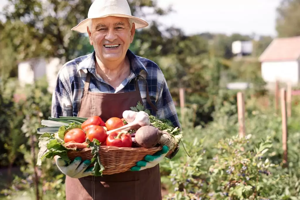 viver no campo: fazendeiro carregando cesta com legumes